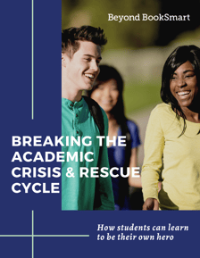 Breaking the Crisis & Rescue Cycle