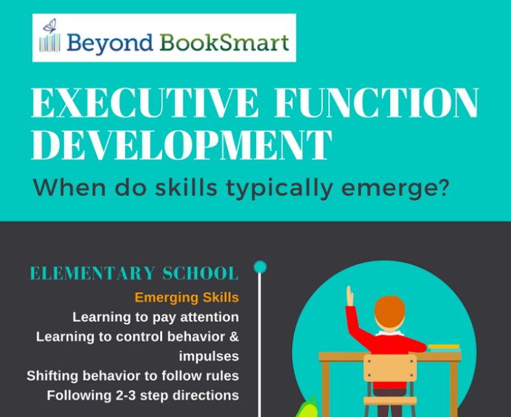 What are Executive Function Skills