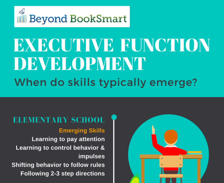 Executive Function Development Chart