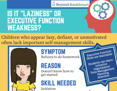 Laziness infographic.png