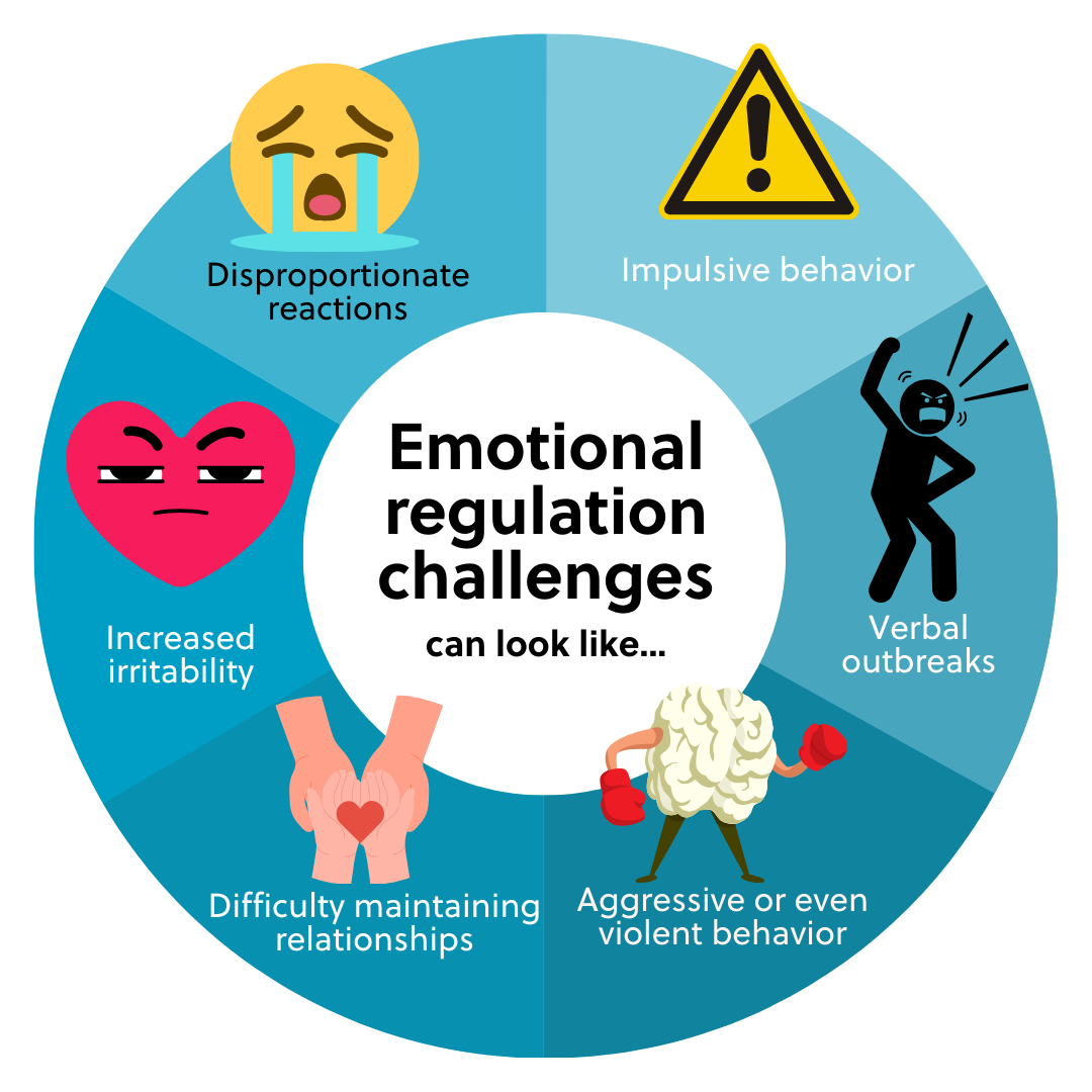 emotional regulation challenges
