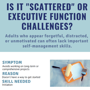 Is it scattered - or Executive Function challenges?